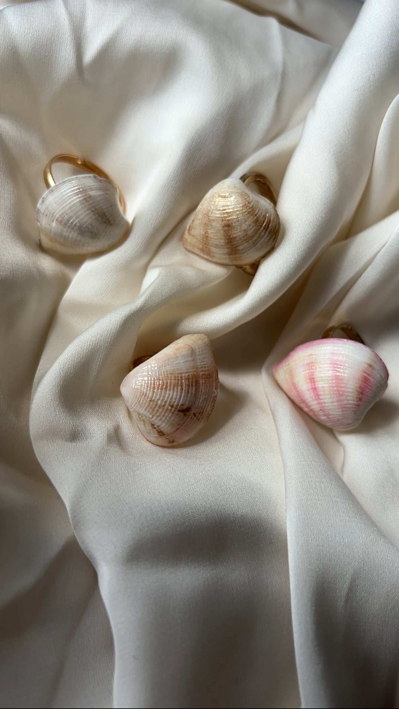 all the seashade ring summer stainless steel on a white fabric