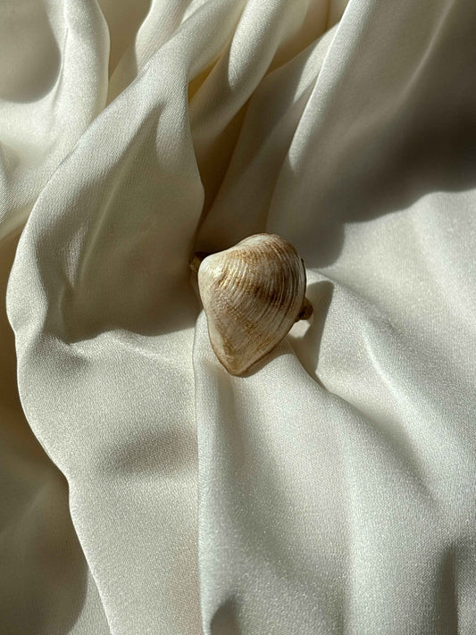 Seashade Ring - Summer Stainless Steel Shell Ring