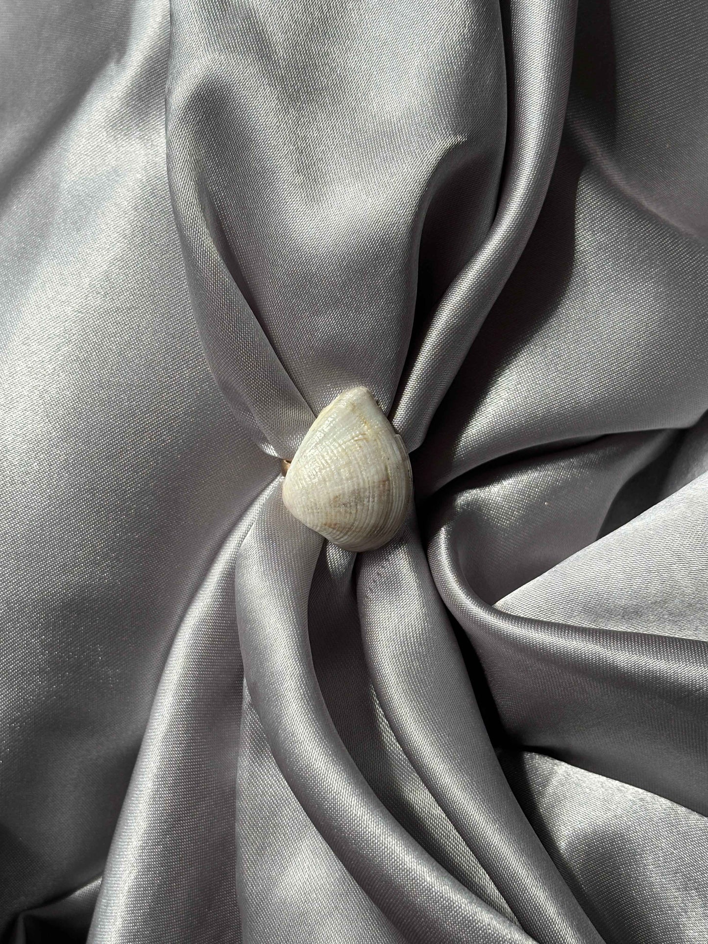 Seashade Ring - Summer Stainless Steel Shell Ring