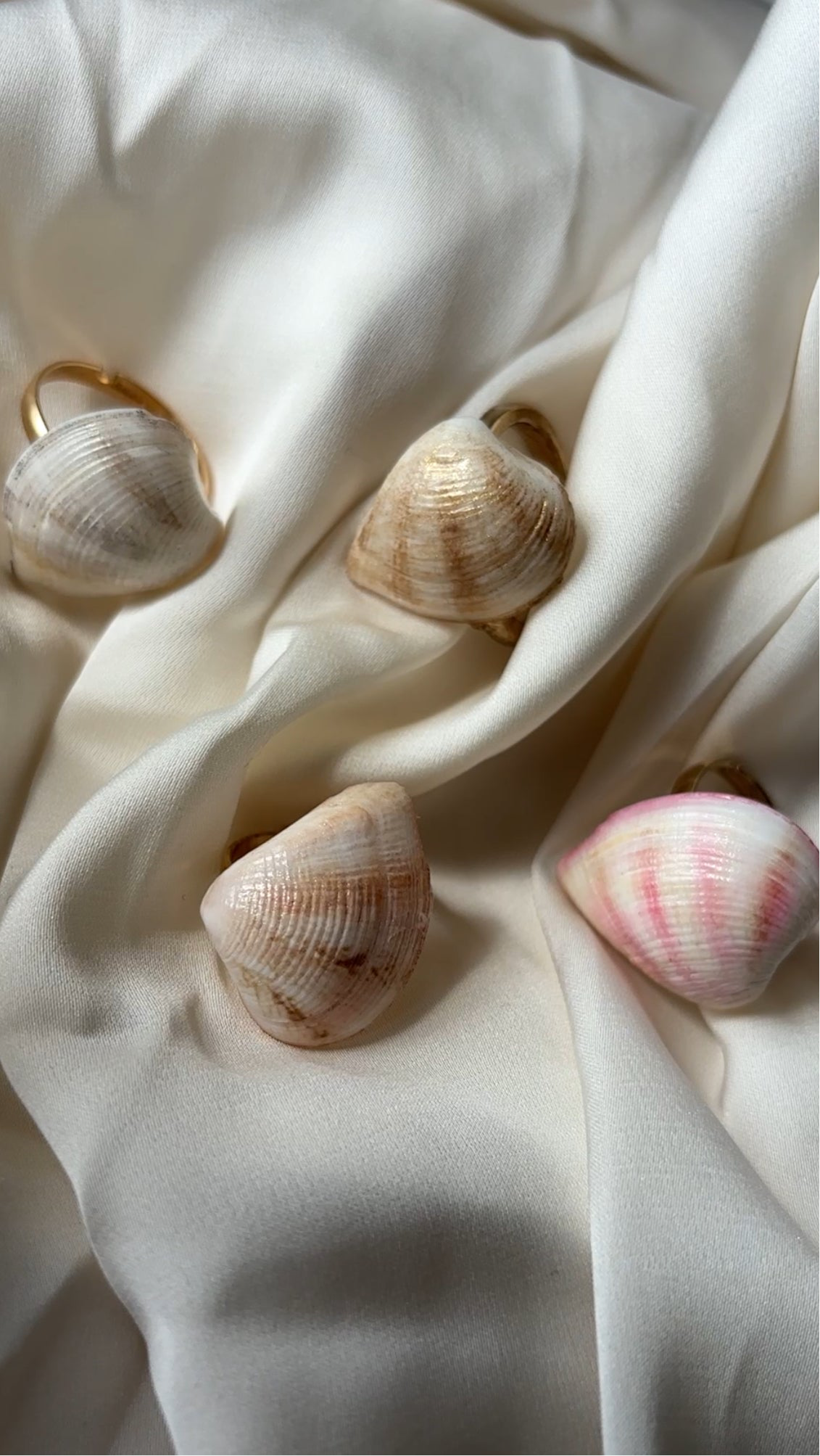 all the seashade ring summer stainless steel on a white fabric 