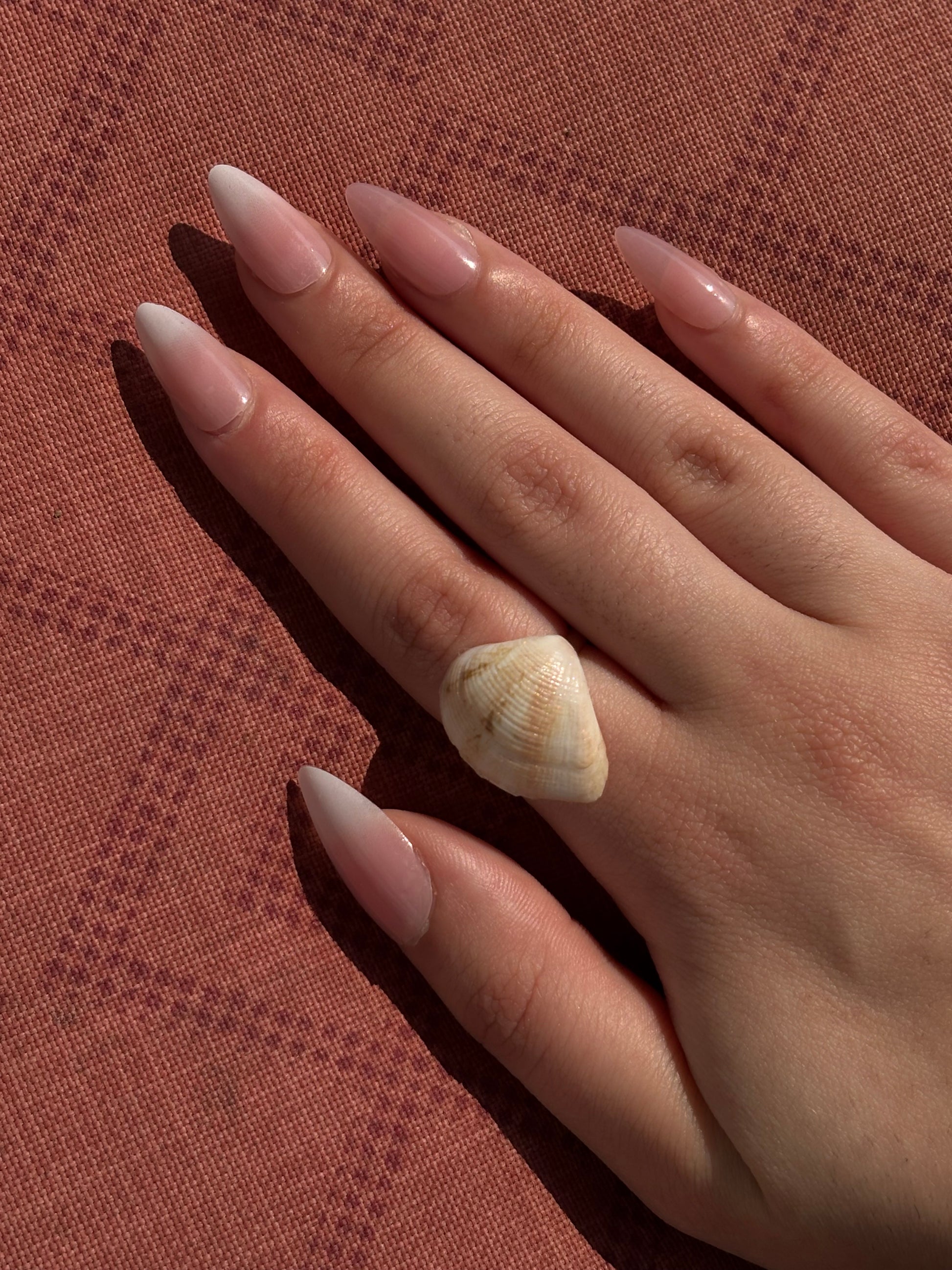 the bronze seashade ring summer stainless steel on a hand model