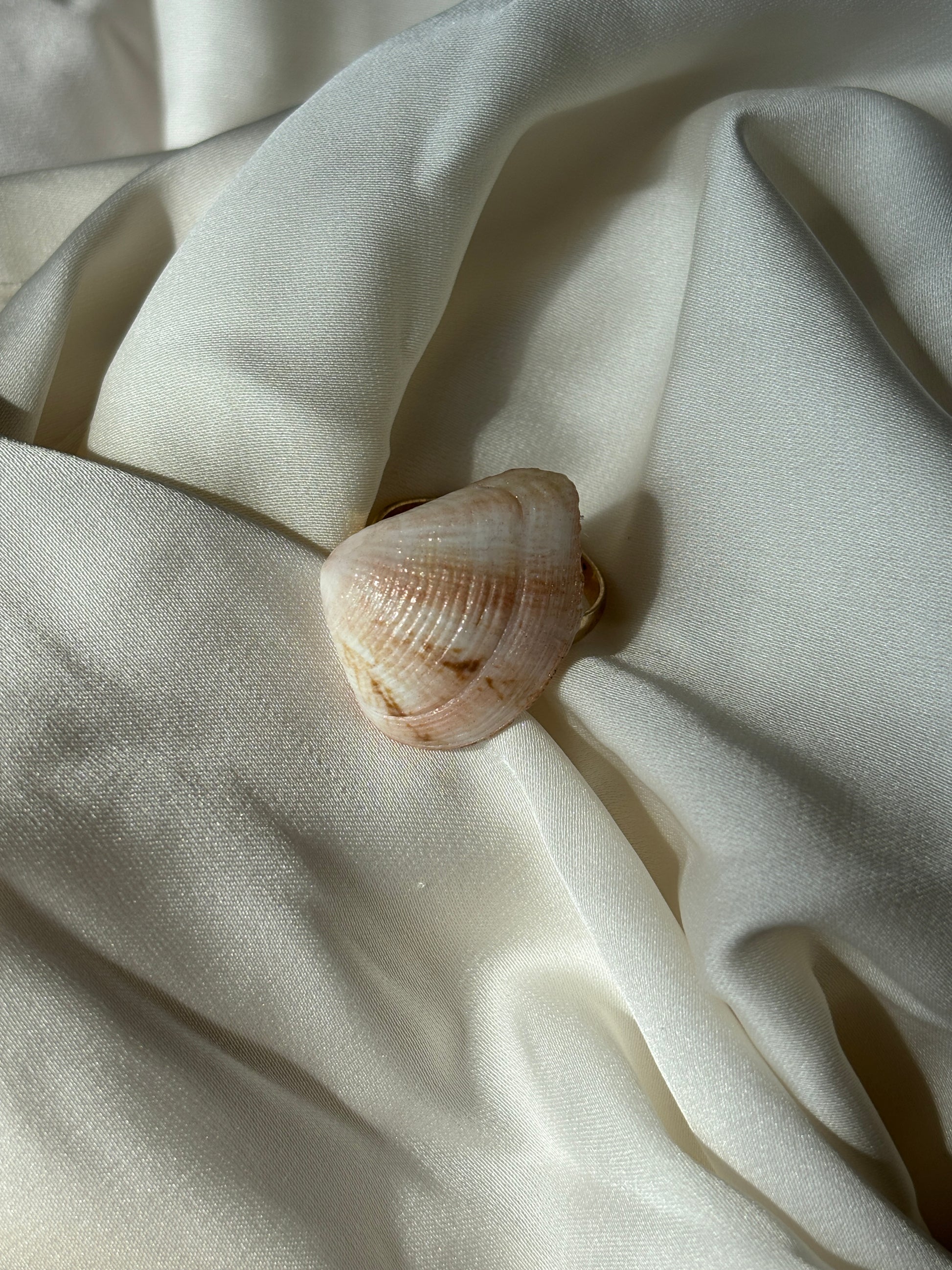 the bronze seashade ring summer stainless steel on a white fabric