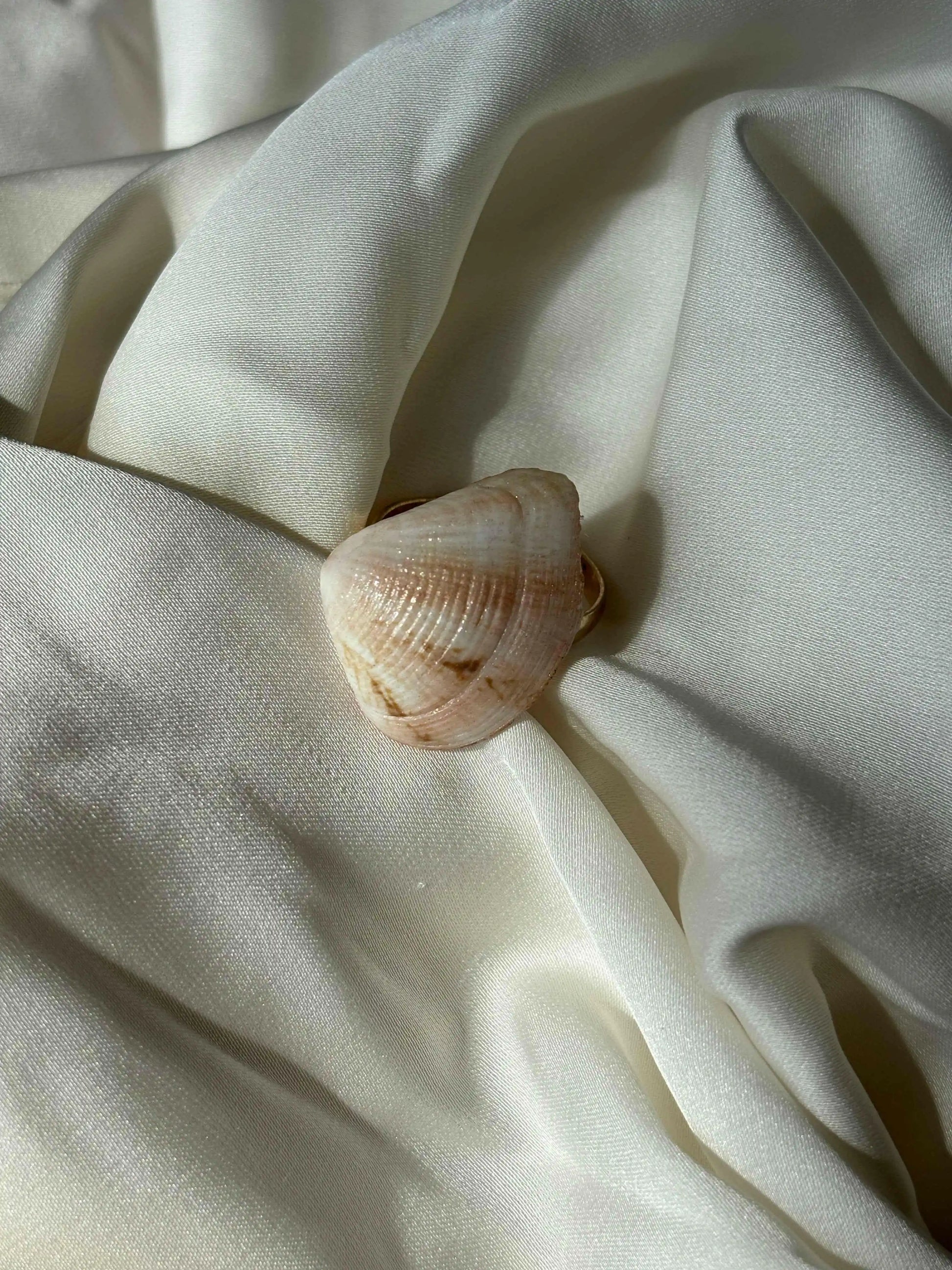 Seashade Ring - Summer Stainless Steel Shell Ring