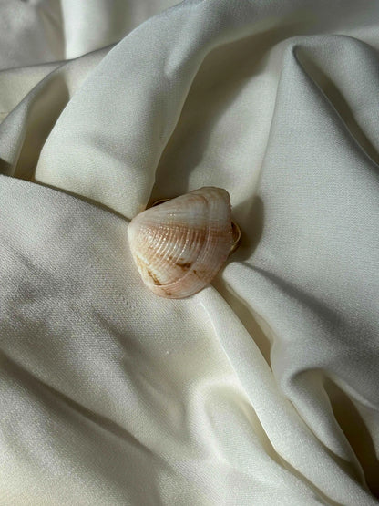 Seashade Ring - Summer Stainless Steel Shell Ring