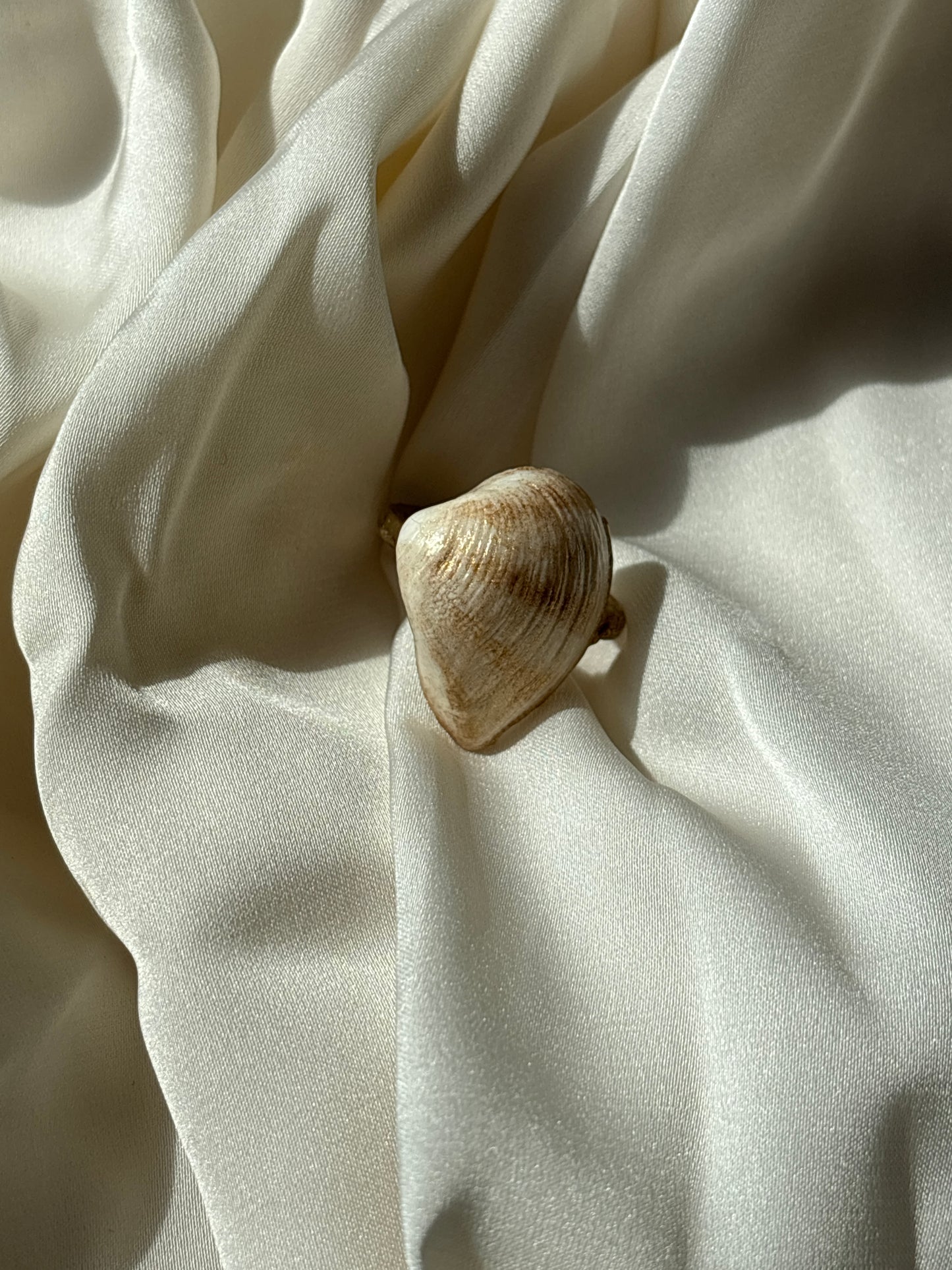 The gold seashade ring summer stainless steel on a white fabric 