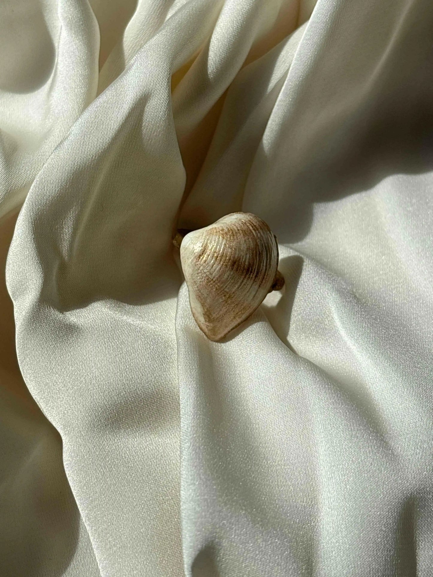 Seashade Ring - Summer Stainless Steel Shell Ring