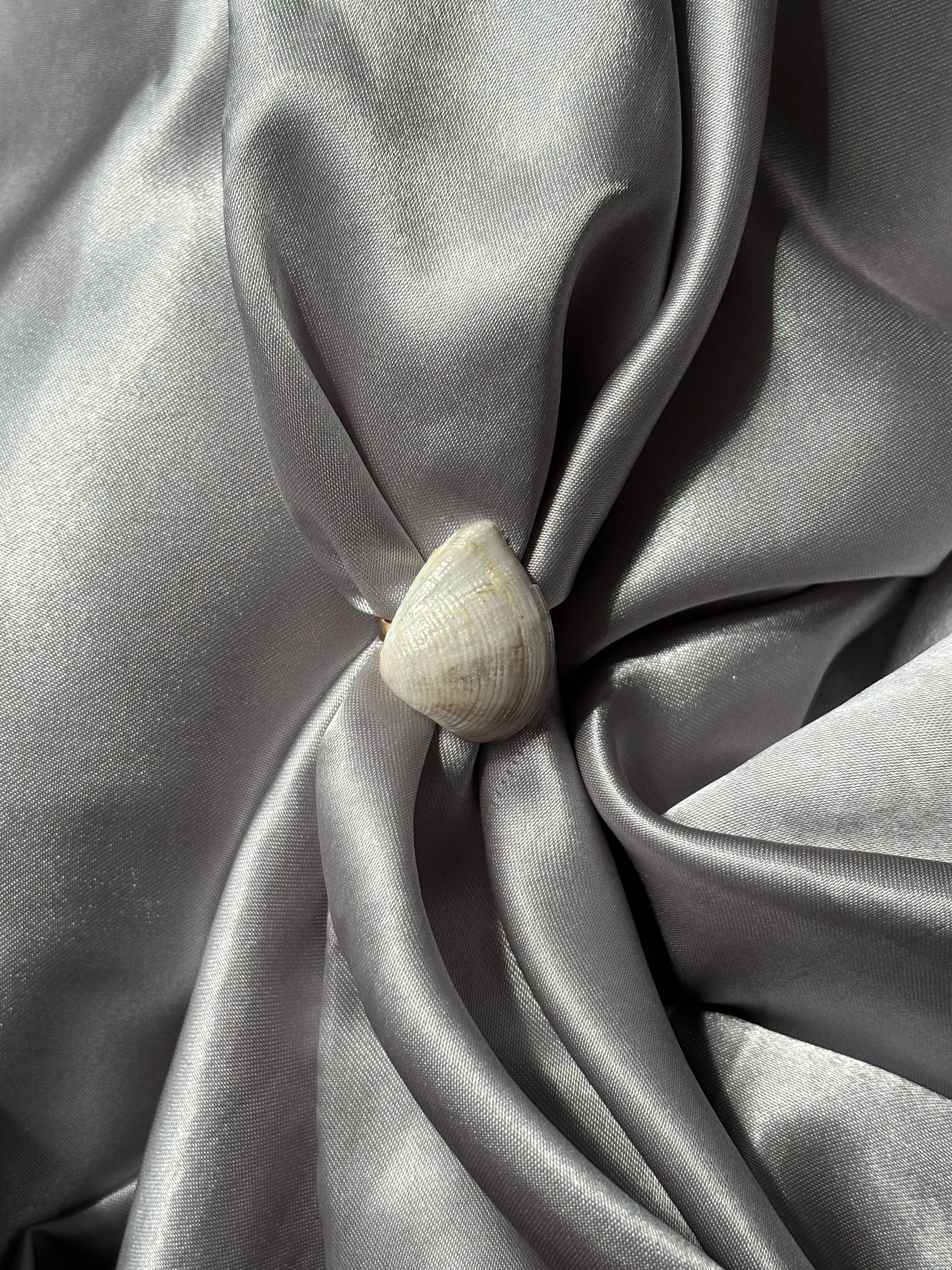 The grey silver seashade ring summer stainless steel on a grey fabric 