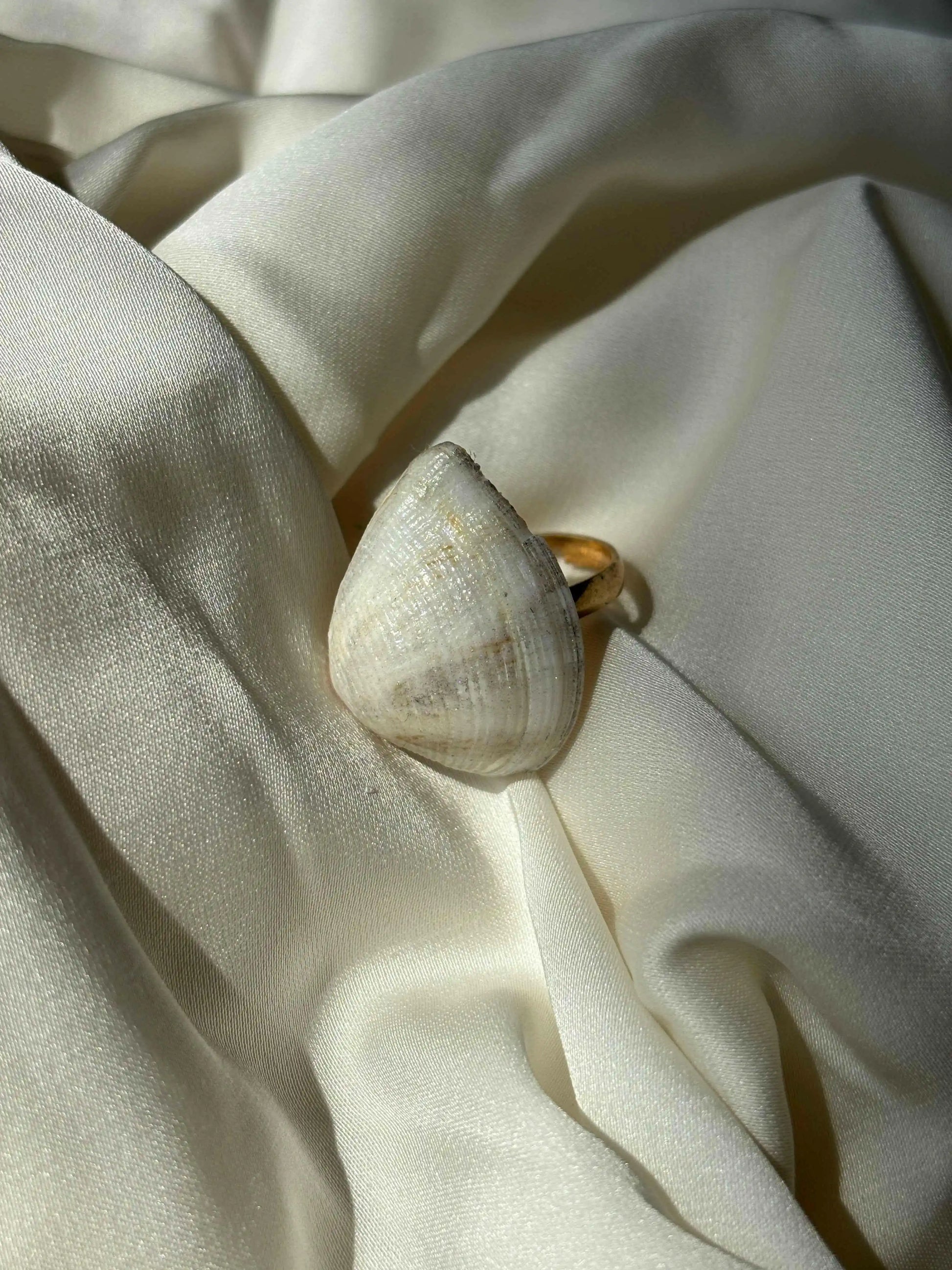 Seashade Ring - Summer Stainless Steel Shell Ring